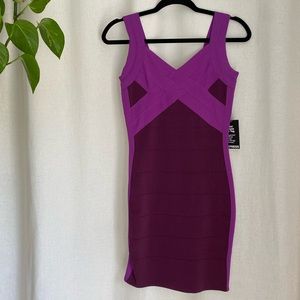 NWT Express Body-con Dress